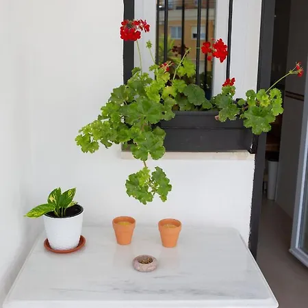 Apartment Seaside Terrace: 2-bedroom With Pool And Ocean Views